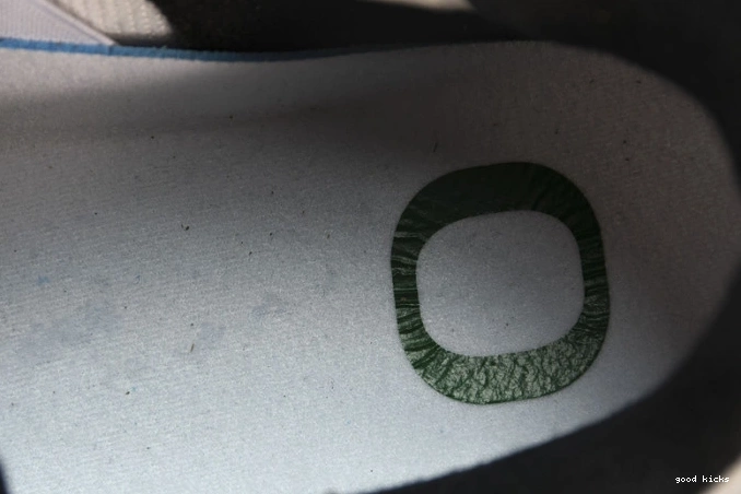 Rep Retro Jordan 257-255275 4 Oregon Ducks Duckman 0629